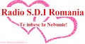 RADIO S.D.I ROMANIA
